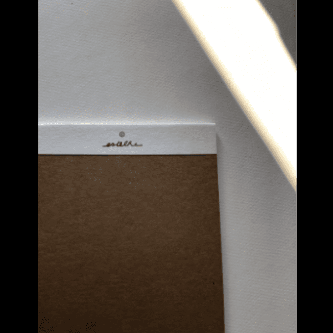 Carnet "Note It " " The Lucky Mushroom Paradox " - 12,5 cm x 15 cm